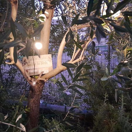Casita Esperanza Lejlighed Copparo Eksteriør billede